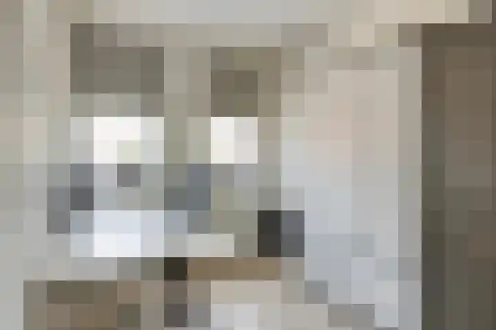 Meteriks veld 70 Meterik thumbnail 26