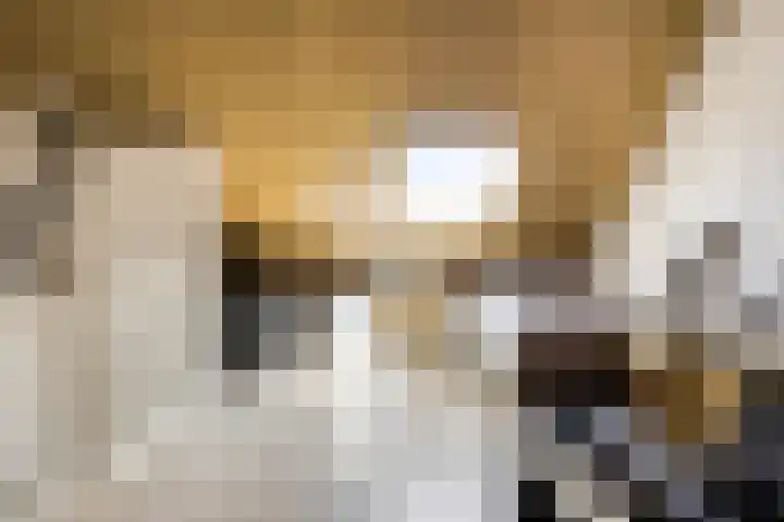 Meteriks veld 70 Meterik thumbnail 32