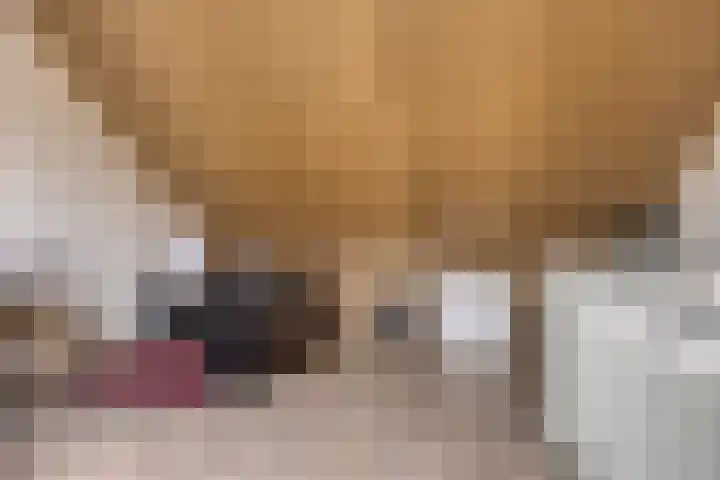 Meteriks veld 70 Meterik thumbnail 33