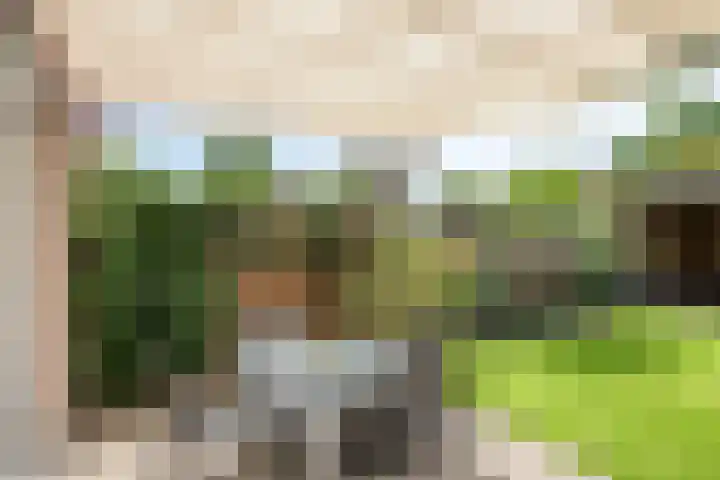 Meteriks veld 70 Meterik thumbnail 36