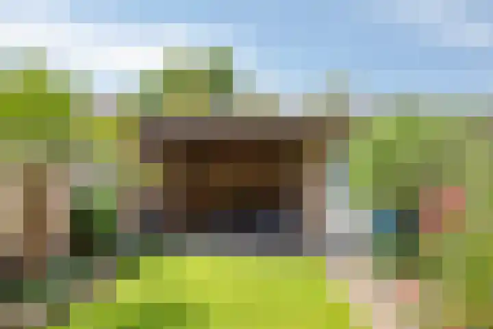 Meteriks veld 70 Meterik thumbnail 37