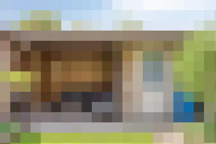 Meteriks veld 70 Meterik thumbnail 38