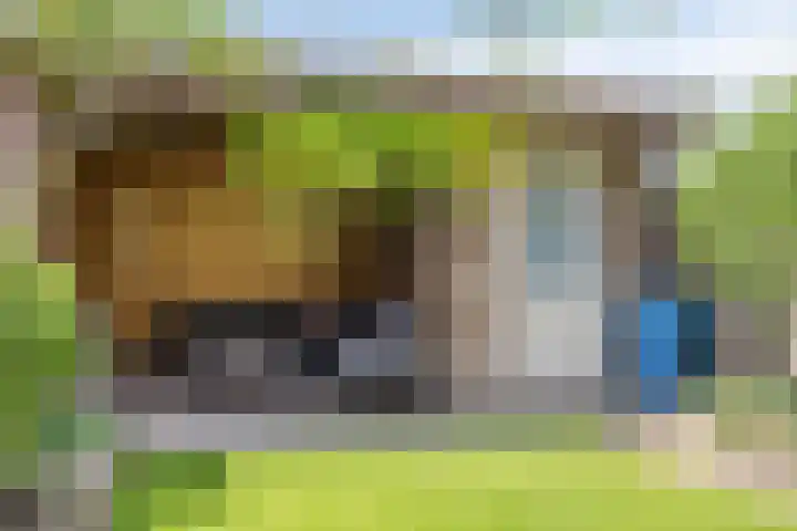 Meteriks veld 70 Meterik thumbnail 39