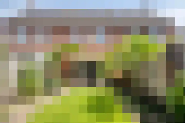Meteriks veld 70 Meterik thumbnail 4