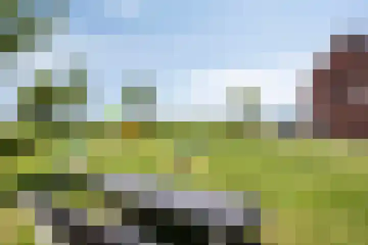 Meteriks veld 70 Meterik thumbnail 41