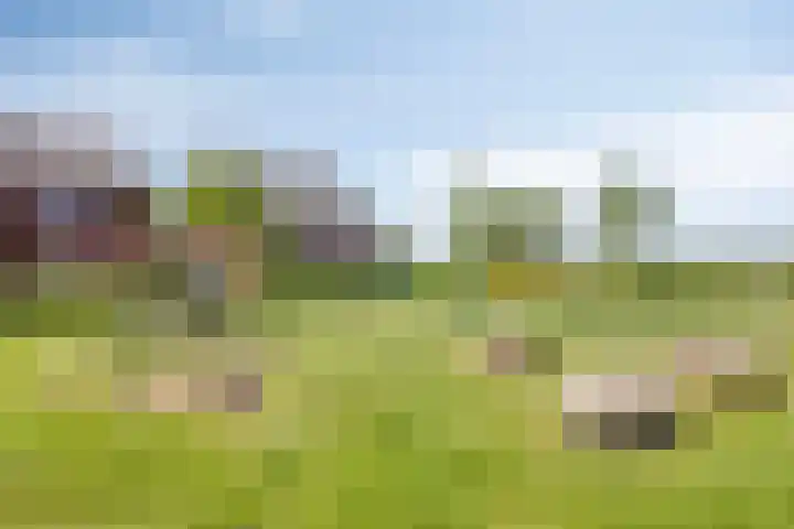 Meteriks veld 70 Meterik thumbnail 42
