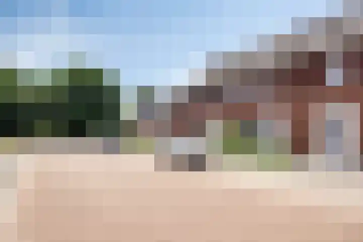 Meteriks veld 70 Meterik thumbnail 6