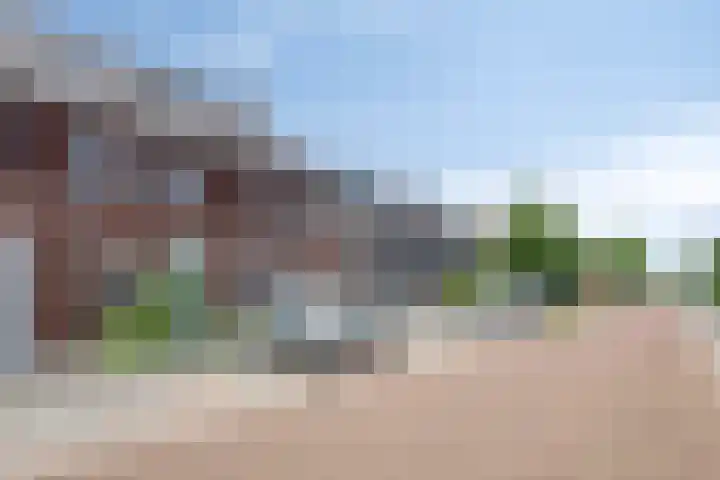 Meteriks veld 70 Meterik thumbnail 7