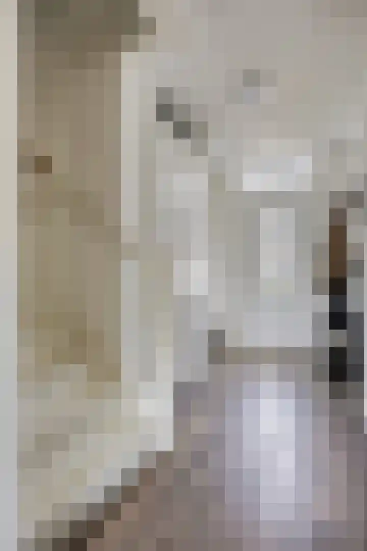 Meteriks veld 70 Meterik thumbnail 9