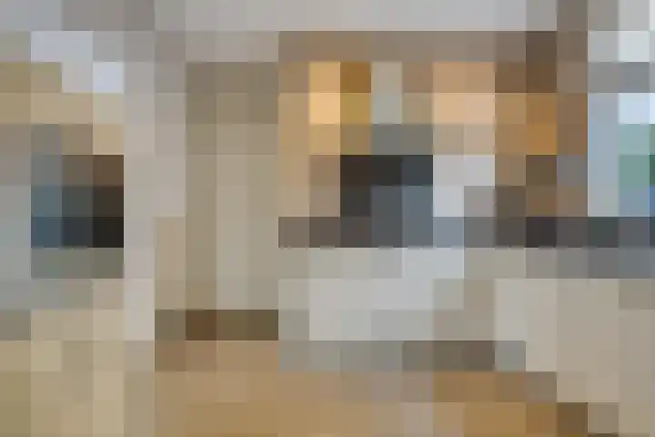 Meterikseweg 104 Horst thumbnail 12