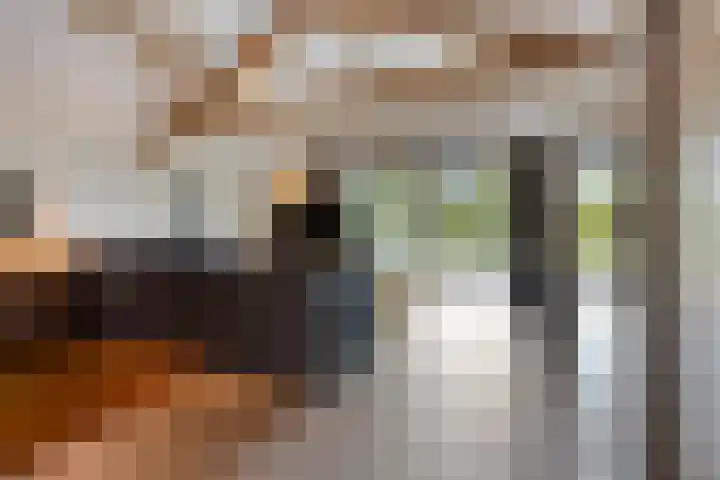 Meterikseweg 104 Horst thumbnail 19