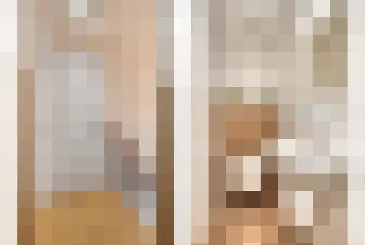 Meterikseweg 104 Horst thumbnail 21