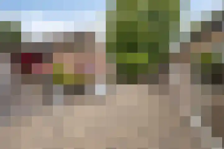 Meterikseweg 104 Horst thumbnail 27
