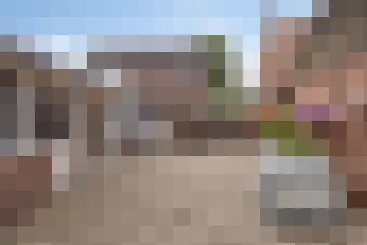 Meterikseweg 104 Horst thumbnail 28