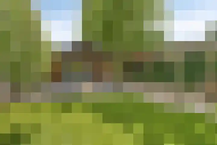 Meterikseweg 104 Horst thumbnail 29
