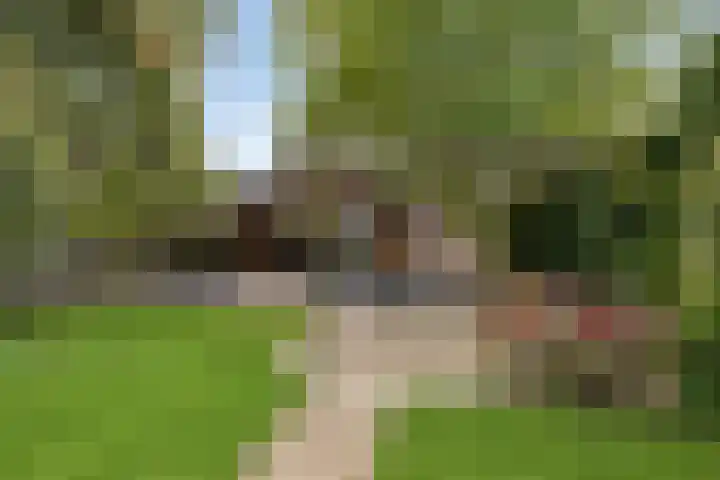 Meterikseweg 104 Horst thumbnail 31