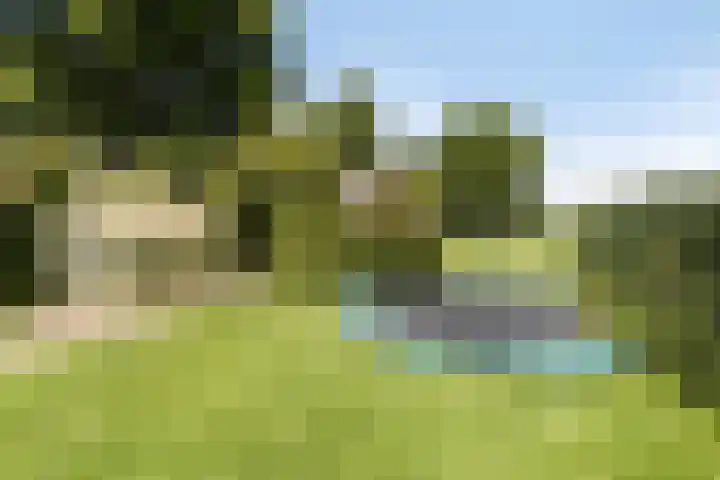 Meterikseweg 104 Horst thumbnail 32