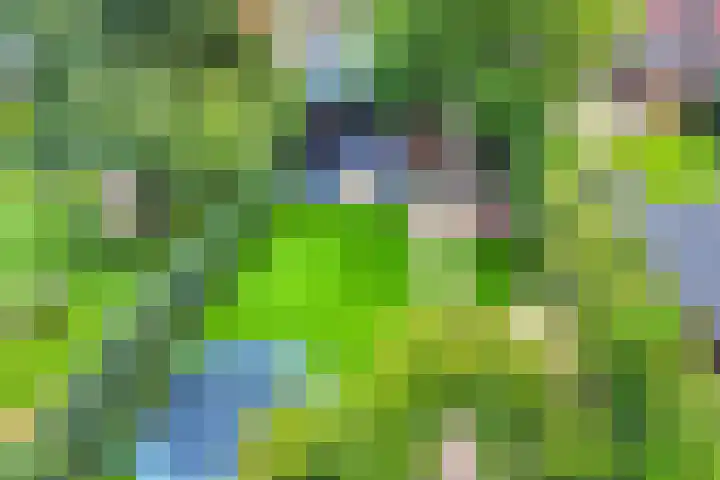 Meterikseweg 104 Horst thumbnail 33