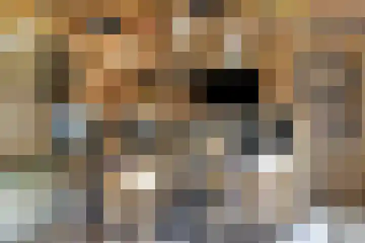 Meterikseweg 104 Horst thumbnail 37