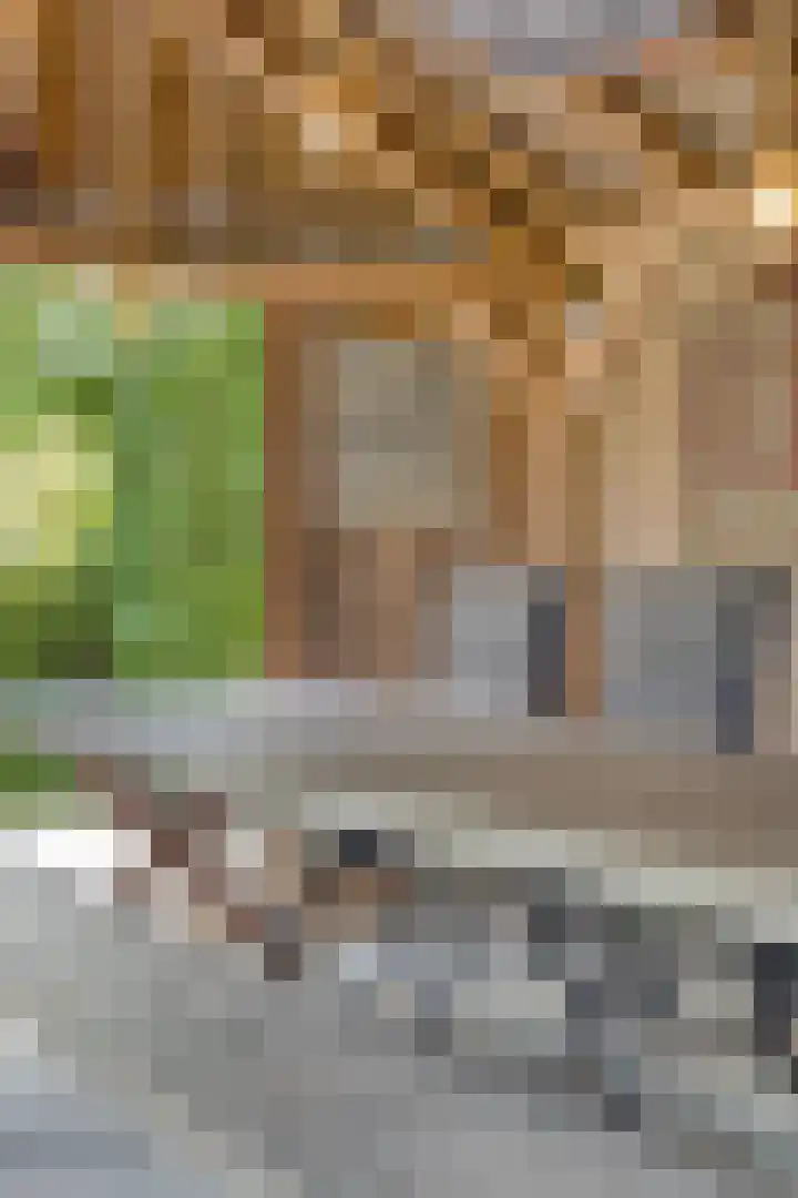 Meterikseweg 104 Horst thumbnail 38