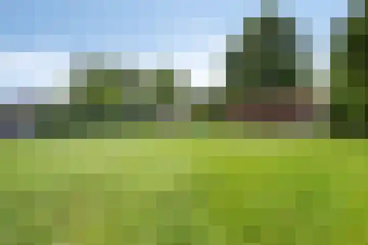 Meterikseweg 104 Horst thumbnail 40