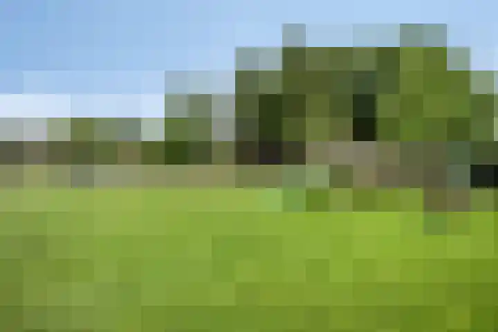 Meterikseweg 104 Horst thumbnail 41