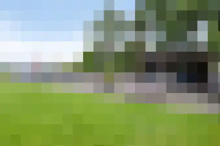 Meterikseweg 104 Horst thumbnail 42