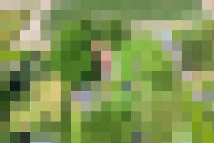 Meterikseweg 104 Horst thumbnail 44