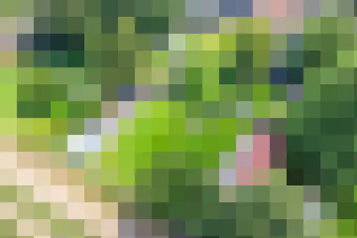 Meterikseweg 104 Horst thumbnail 45