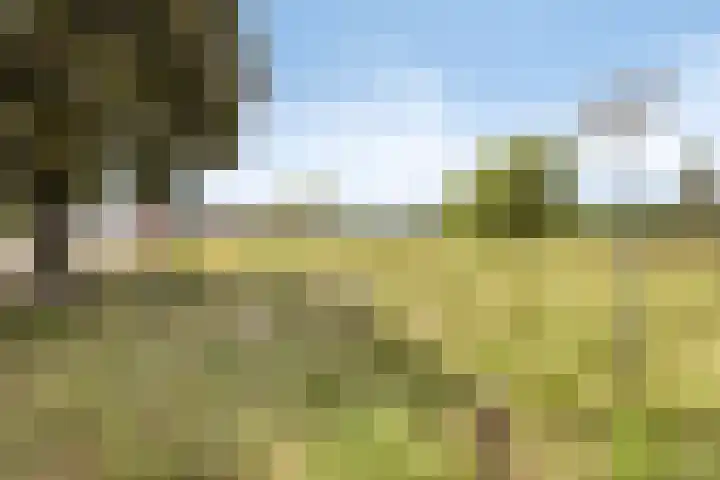 Meterikseweg 104 Horst thumbnail 51