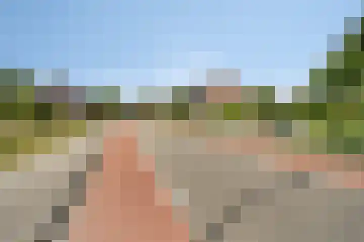 Meterikseweg 104 Horst thumbnail 52