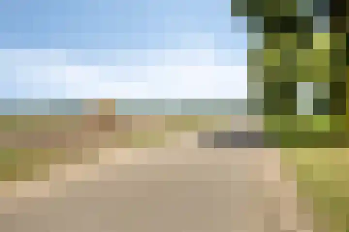 Meterikseweg 104 Horst thumbnail 53