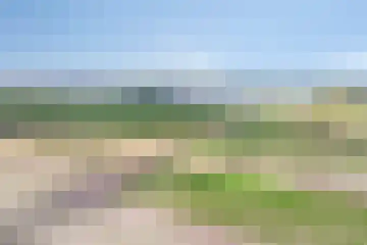 Meterikseweg 104 Horst thumbnail 54