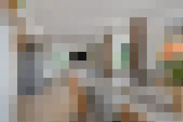 Meterikseweg 104 Horst thumbnail 8