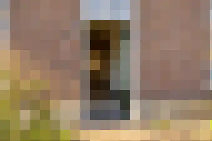 Meterikseweg 120 Horst thumbnail 10