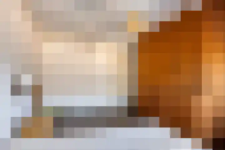 Meterikseweg 120 Horst thumbnail 34