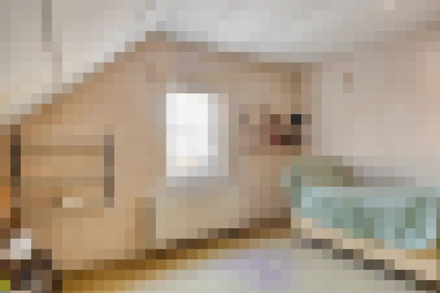 Meterikseweg 120 Horst thumbnail 37