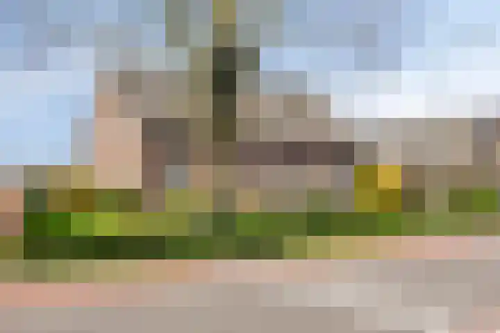 Meterikseweg 120 Horst thumbnail 4