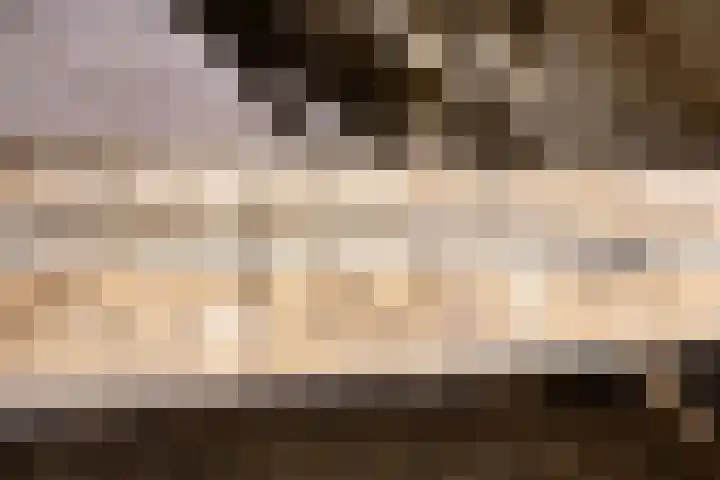 Meterikseweg 120 Horst thumbnail 42