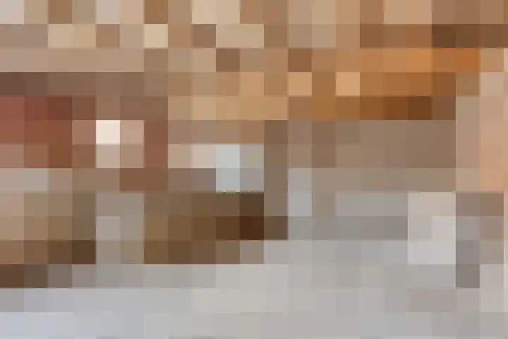 Meterikseweg 120 Horst thumbnail 47