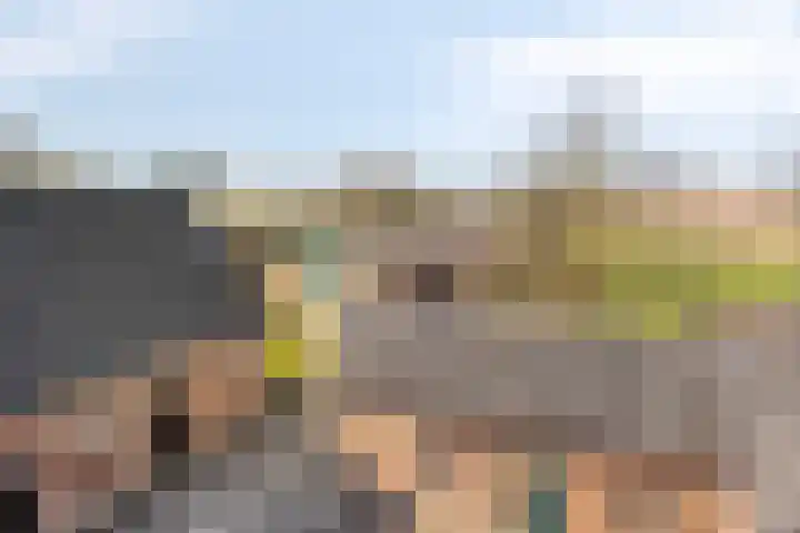 Meterikseweg 120 Horst thumbnail 55