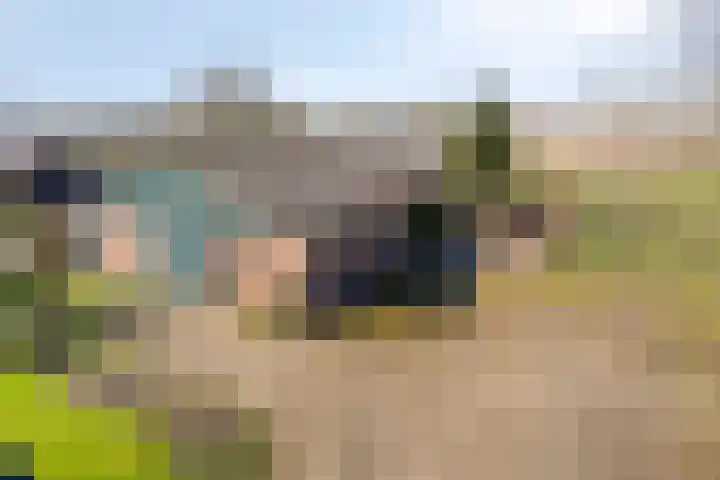 Meterikseweg 120 Horst thumbnail 56