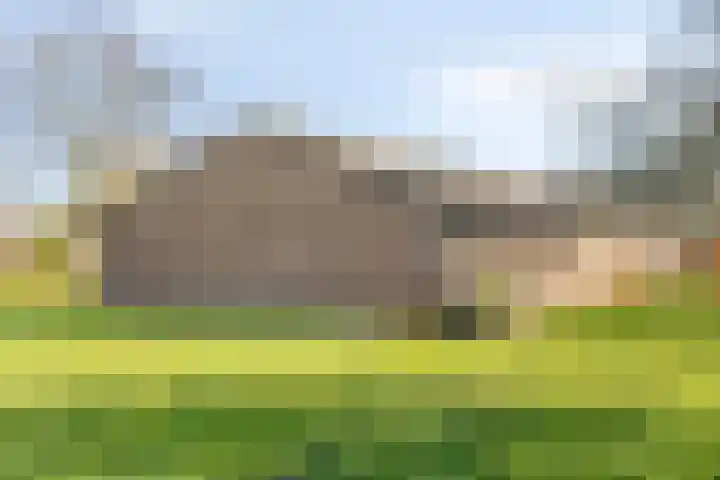 Meterikseweg 120 Horst thumbnail 59