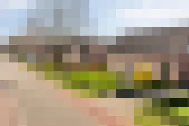 Meterikseweg 120 Horst thumbnail 6