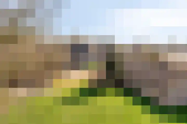 Meterikseweg 120 Horst thumbnail 60