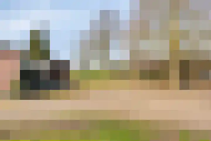Meterikseweg 120 Horst thumbnail 61
