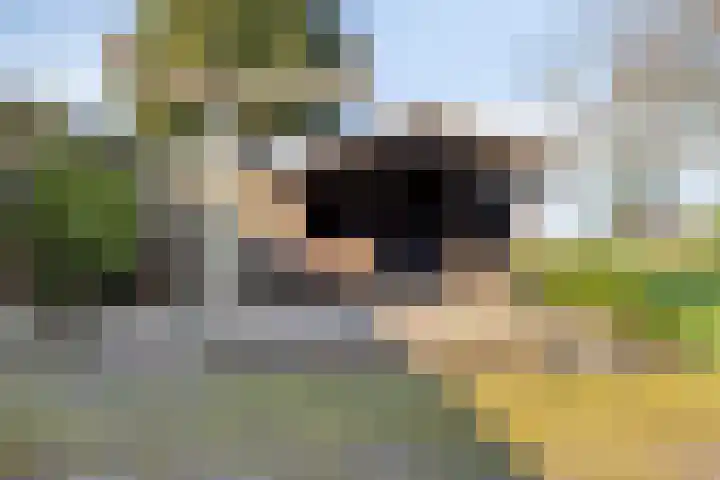 Meterikseweg 120 Horst thumbnail 62
