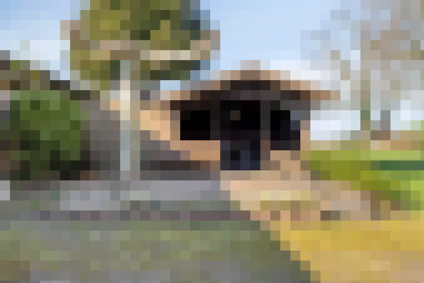 Meterikseweg 120 Horst thumbnail 62