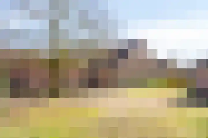 Meterikseweg 120 Horst thumbnail 63