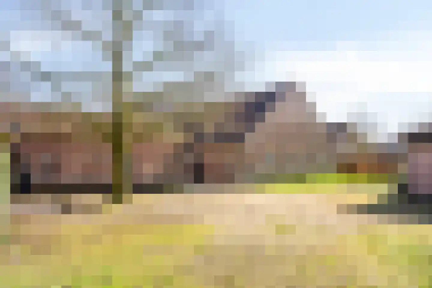 Meterikseweg 120 Horst thumbnail 63